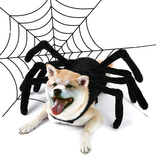 Halloween Funny Spider Costume for Cat and Dog Clothes for Small Medium-sized Dog. Halloween Cosplay. Pet Accessories